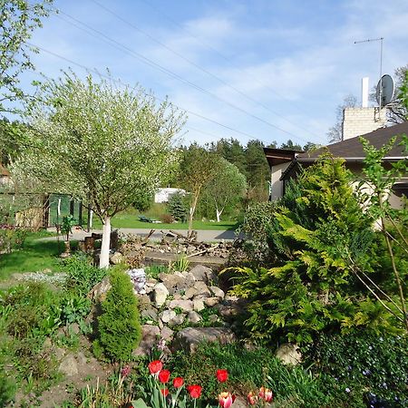 וילנה Homestay Roja מראה חיצוני תמונה