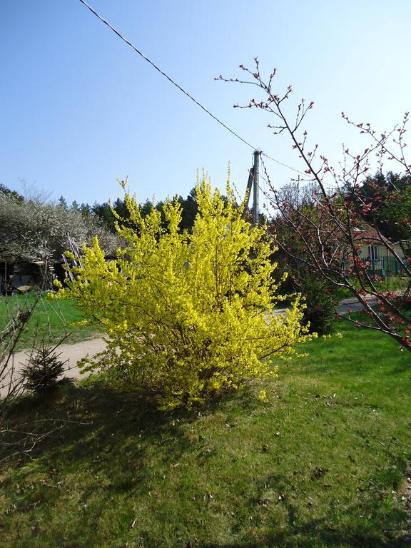וילנה Homestay Roja מראה חיצוני תמונה