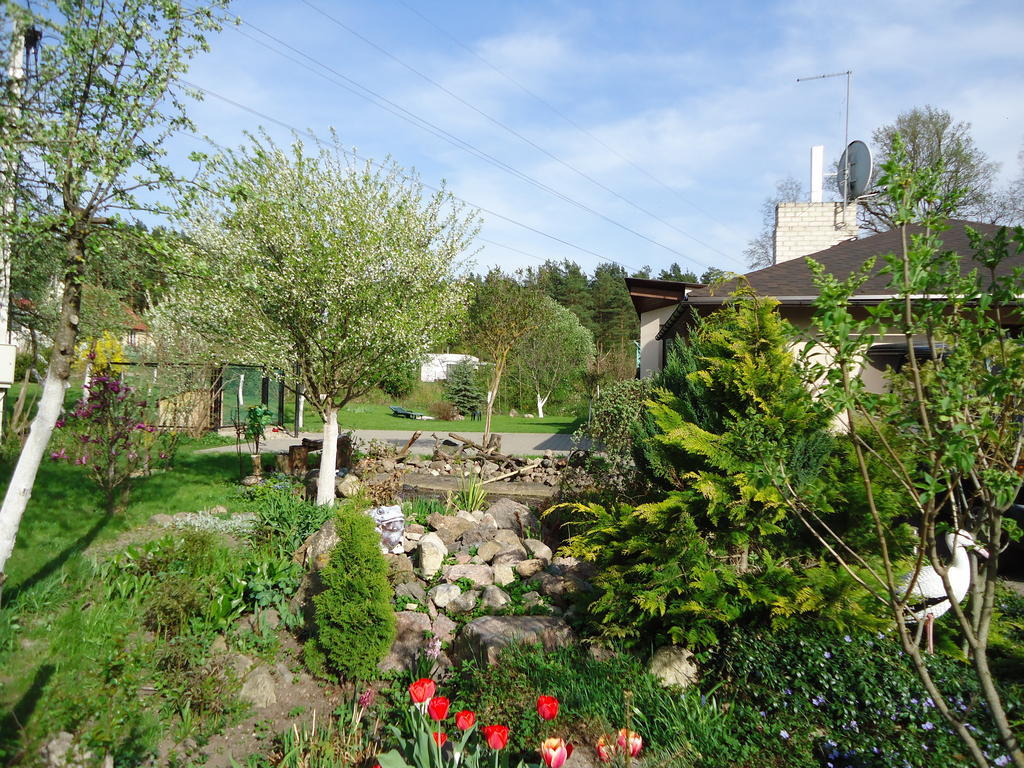 וילנה Homestay Roja מראה חיצוני תמונה